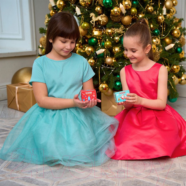 Изображение товара Набор для опытов Bumbaram Для проведения раскопок. Новогодние сюрпризы / dig-28