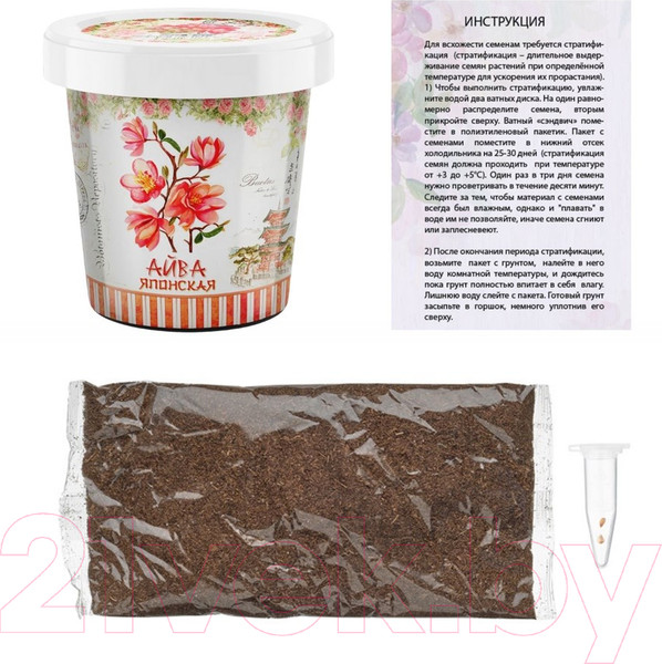 Изображение товара Набор для выращивания растений Rostokvisa Айва японская / 20241