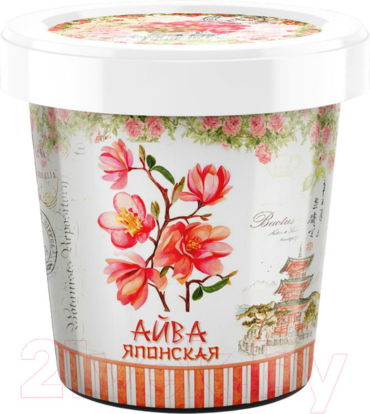 Изображение товара Набор для выращивания растений Rostokvisa Айва японская / 20241