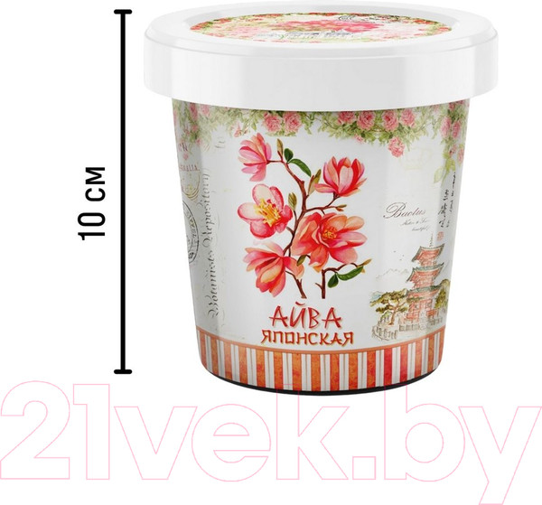 Изображение товара Набор для выращивания растений Rostokvisa Айва японская / 20241