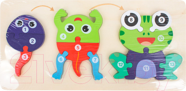 Изображение товара Сортер Darvish Вкладыш-пазл. Эволюция лягушка / SR-T-3708-6