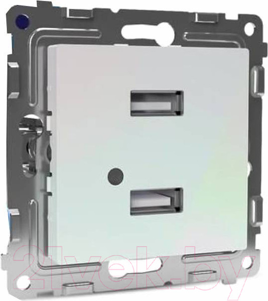 Изображение товара Розетка Tokov Electric Pixel TKE-PX-2USB-C04 (перламутровый)