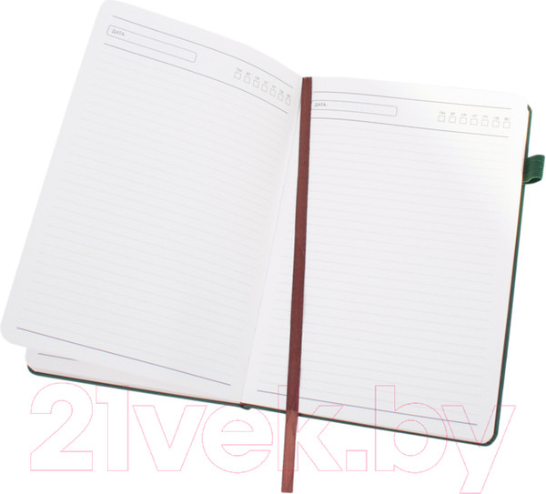 Изображение товара Ежедневник Darvish DV-14815C (180л, зеленый)