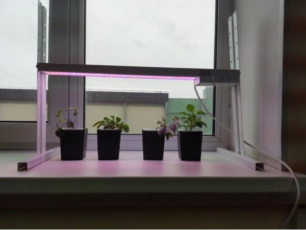 Изображение товара Светильник для растений Петромаш Led 30 / 9602