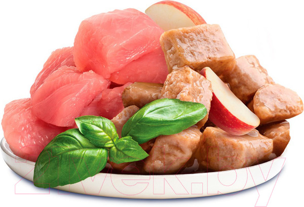 Изображение товара Влажный корм для собак Brit Premium д/щенков мини пород индейка с яблоком в соусе / 5053070 (85г)