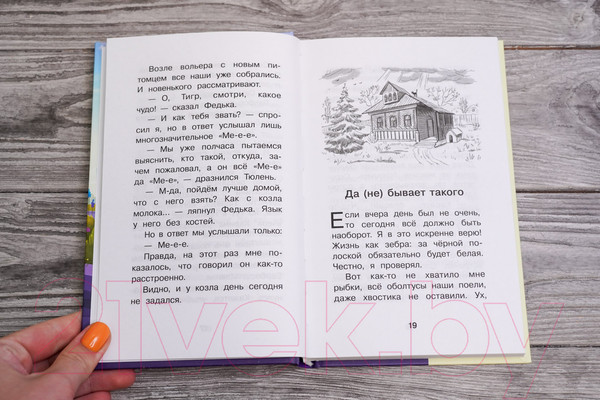 Изображение товара Книга АСТ Котовасия. Приключения котов в музее будущего / 9785171583460 (Залесская Е.)