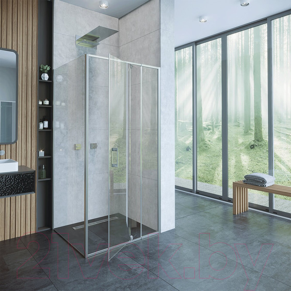 Изображение товара Душевая стенка Alex Baitler 100x200 / SG71C100