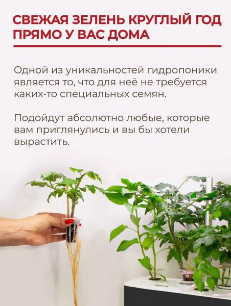 Изображение товара Проращиватель семян WMC Tools ZG1001 (51778)