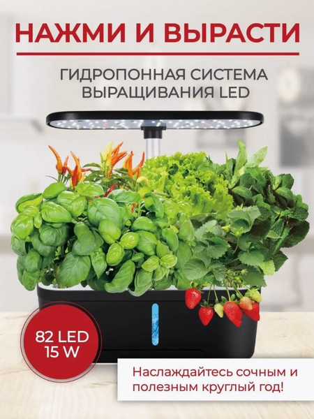 Изображение товара Проращиватель семян WMC Tools ZG1001 (51778)