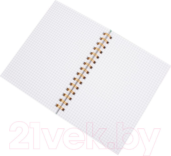 Изображение товара Блокнот Darvish В клетку на спирали / DV-14837