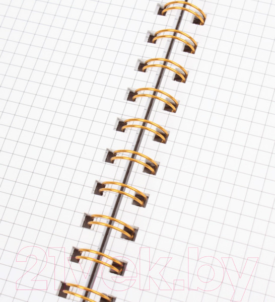 Изображение товара Блокнот Darvish В клетку на спирали / DV-14837