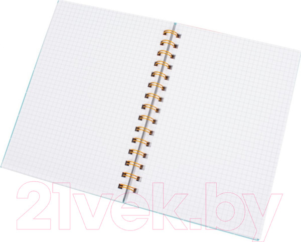 Изображение товара Блокнот Darvish В клетку на спирали / DV-14838