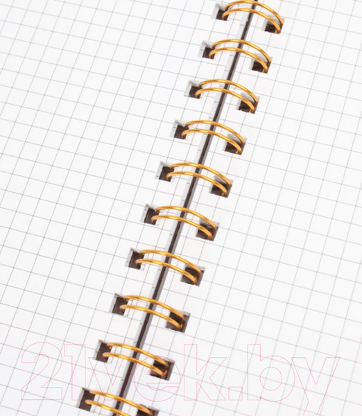 Изображение товара Блокнот Darvish В клетку на спирали / DV-14838