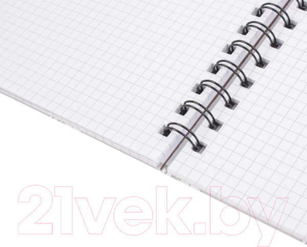 Изображение товара Блокнот Darvish В клетку на спирали / DV-14839