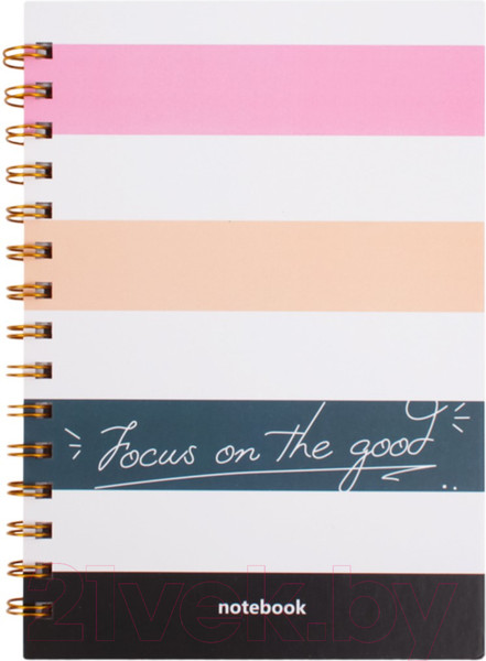 Изображение товара Блокнот Darvish В клетку на спирали / DV-14840