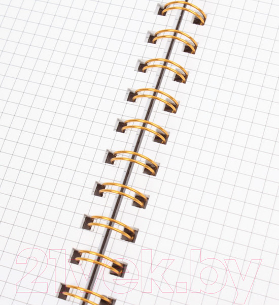 Изображение товара Блокнот Darvish В клетку на спирали / DV-14840