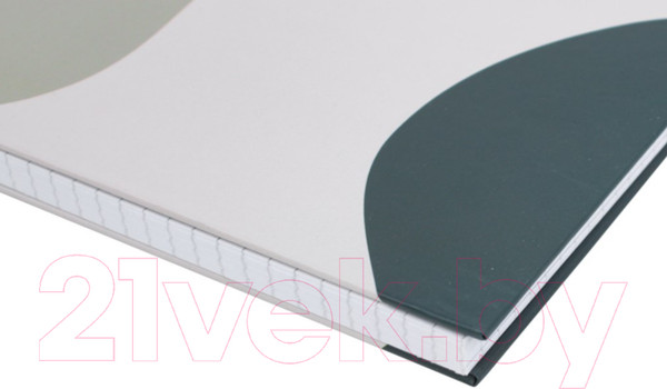 Изображение товара Блокнот Darvish В клетку на спирали / DV-14841