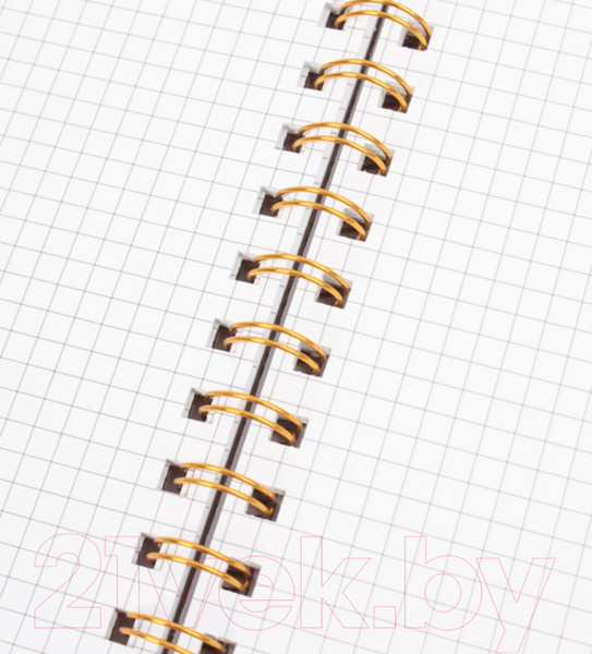 Изображение товара Блокнот Darvish В клетку на спирали / DV-14841