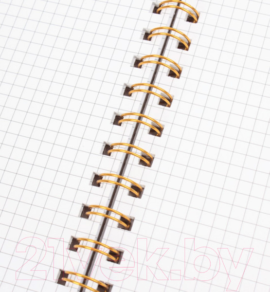 Изображение товара Блокнот Darvish В клетку на спирали / DV-14842