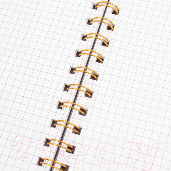 Изображение товара Блокнот Darvish В клетку на спирали / DV-14843