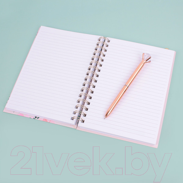 Изображение товара Набор канцелярский подарочный Darvish Блокнот и ручка / DV-14833A