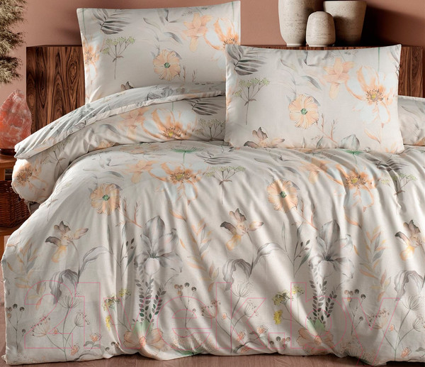 Изображение товара Комплект постельного белья DO&CO Ranforce Amaris / 12049 (зеленый)