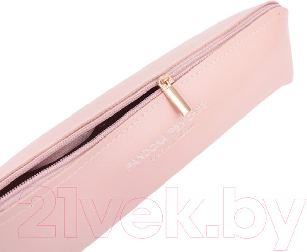 Изображение товара Пенал Darvish SR-14903B