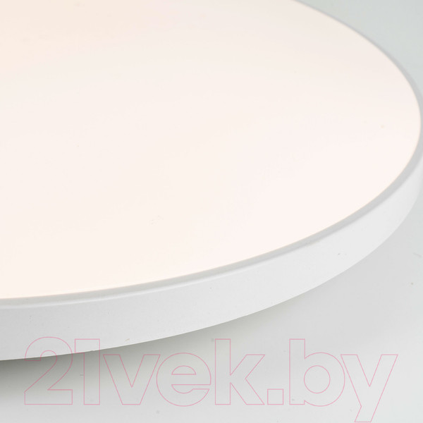 Изображение товара Потолочный светильник LED4U LT304-230