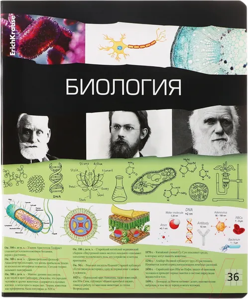 Изображение товара Набор предметных тетрадей Erich Krause Timeline / 62122 (12шт)
