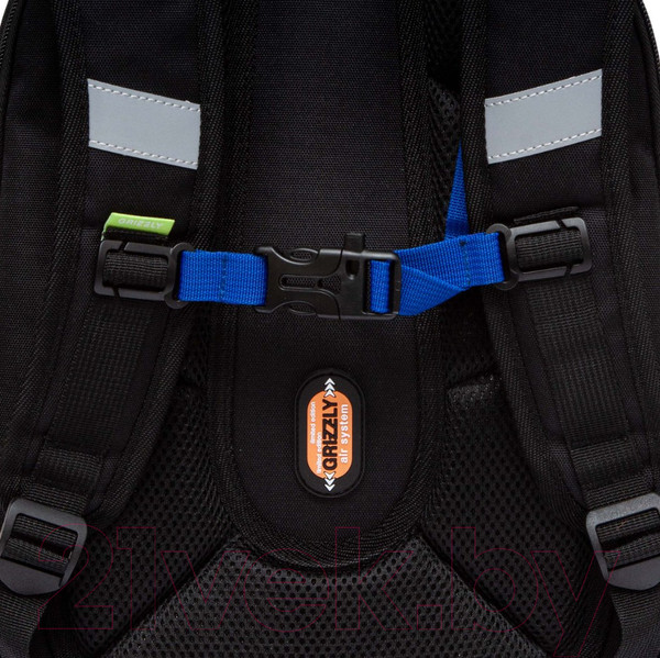 Изображение товара Школьный рюкзак Grizzly RAf-493-3 (черный)