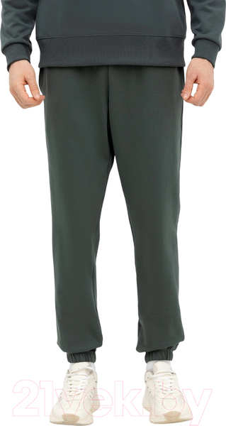 Изображение товара Штаны Mark Formelle 181222 (р.86-170/176, темный лес)