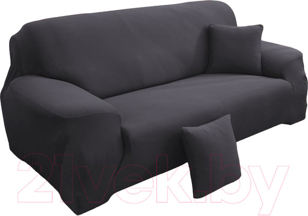 Изображение товара Чехол на 2-х местный диван Mio Tesoro С наволочкой 145-185см / TBD076162902P (серебристо-серый)