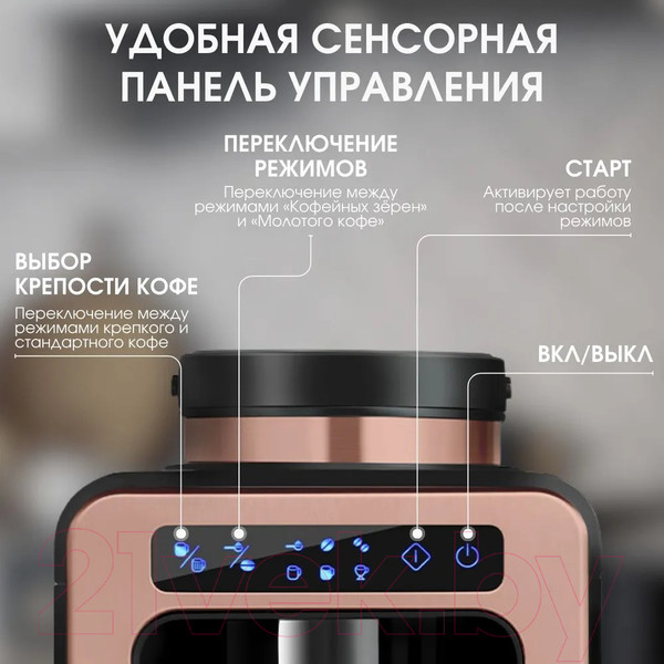 Изображение товара Капельная кофеварка BQ CM7000 (розовое золото/черный)