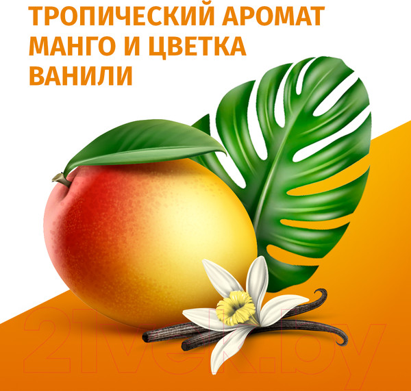 Изображение товара Дезодорант-спрей Фа Ритмы острова Бали. Аромат манго и цветка ванили  (150мл)