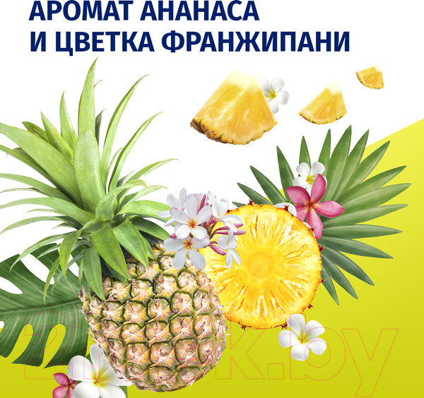 Изображение товара Дезодорант-спрей Фа Ритмы острова Гавайи. Аромат ананаса и цветка франжипани  (150мл)
