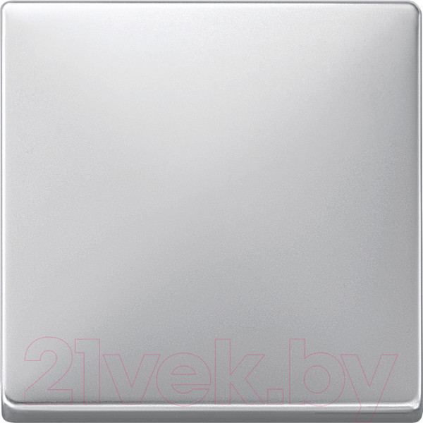 Изображение товара Клавиша для выключателя Schneider Electric Merten MTN412160