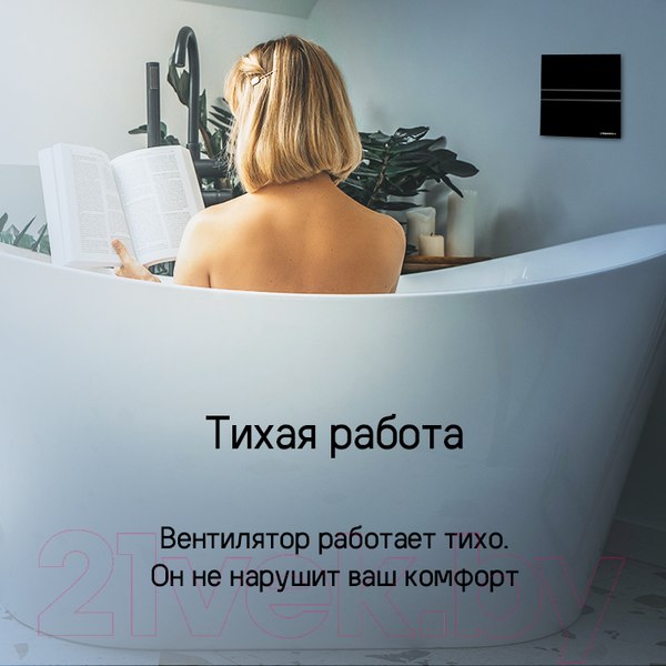 Изображение товара Вентилятор накладной Maunfeld MFE10TGBG