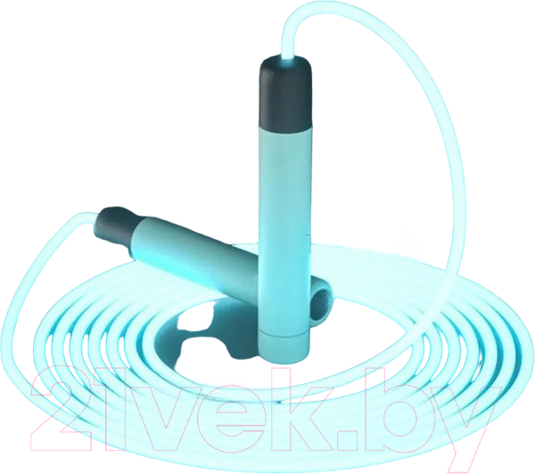 Изображение товара Скакалка Sundays Fitness C0008694B (голубой)