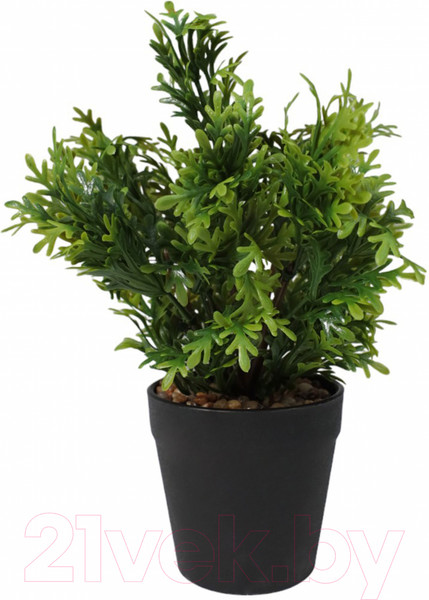 Изображение товара Искусственное растение AksHome Бонсай Oaky (21x6см)
