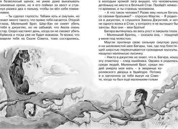 Изображение товара Книга Махаон Маугли, твердая обложка (Киплинг Редьярд)