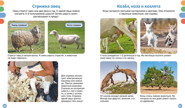 Изображение товара Энциклопедия Махаон Полезные машины и животные фермы, твердая обложка (Гийоре Мари-Рене)