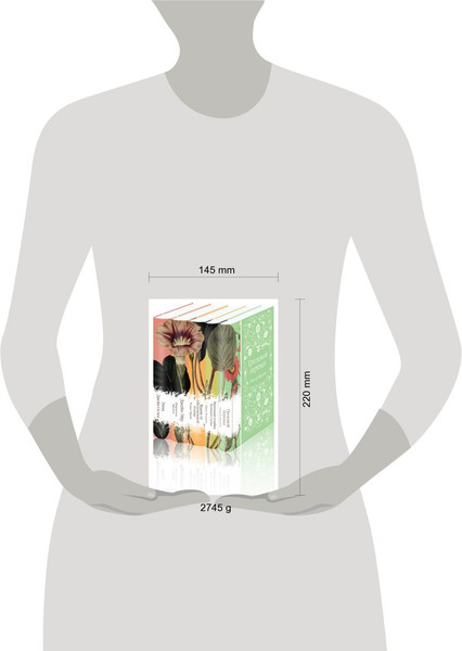 Изображение товара Набор книг Эксмо Нежный вьюнок (Бронте Ш. и др.)