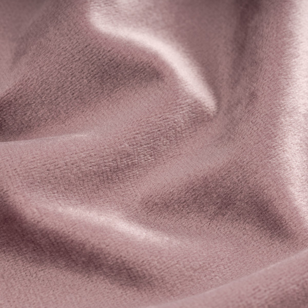 Изображение товара Штора Mio Tesoro Velvet 150х260 (пудра)