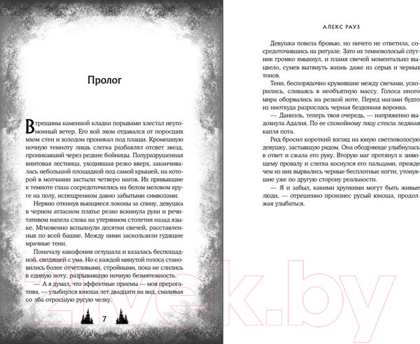 Изображение товара Книга Like Book Твои тьма и свет. Стихия духа / 9785041931384 (Рауз А.)