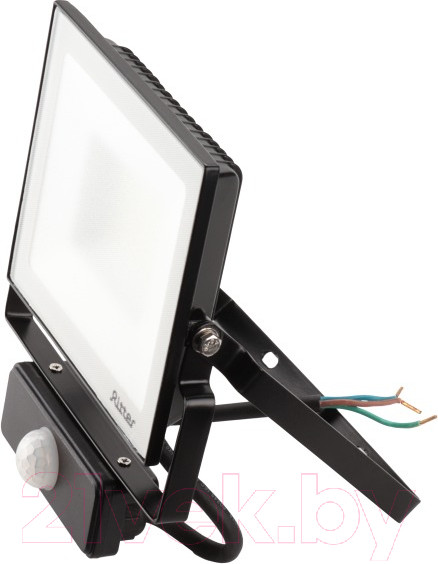 Изображение товара Прожектор REV Ritter Profi / 53422 2 (черный)