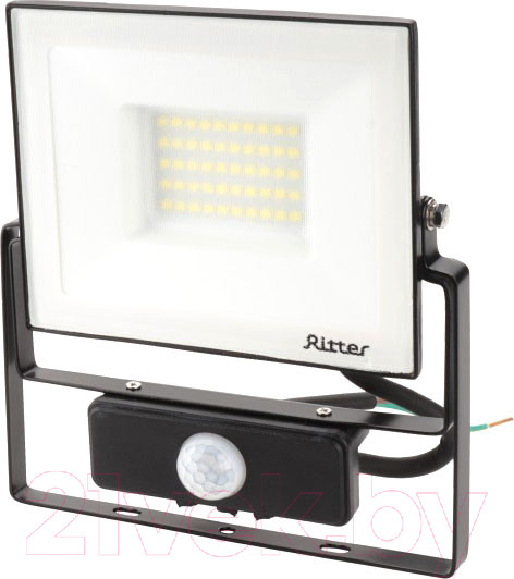 Изображение товара Прожектор REV Ritter Profi / 53422 2 (черный)