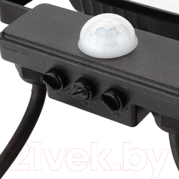 Изображение товара Прожектор REV Ritter Profi / 53422 2 (черный)