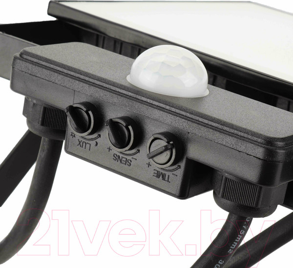 Изображение товара Прожектор REV Ritter Profi / 53422 2 (черный)