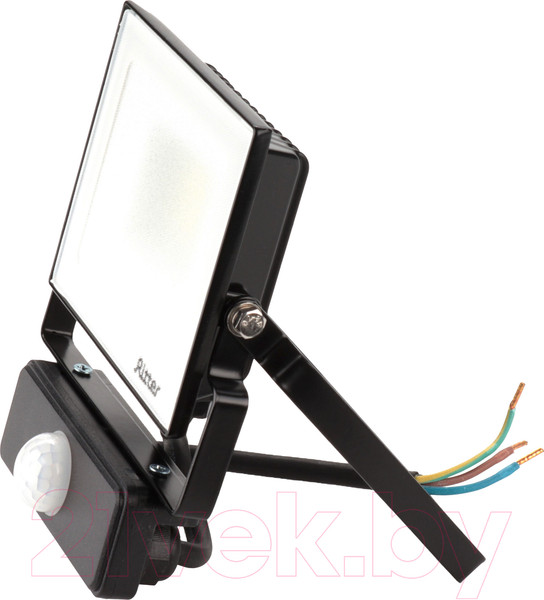 Изображение товара Прожектор REV Ritter Profi / 53421 5 (черный)