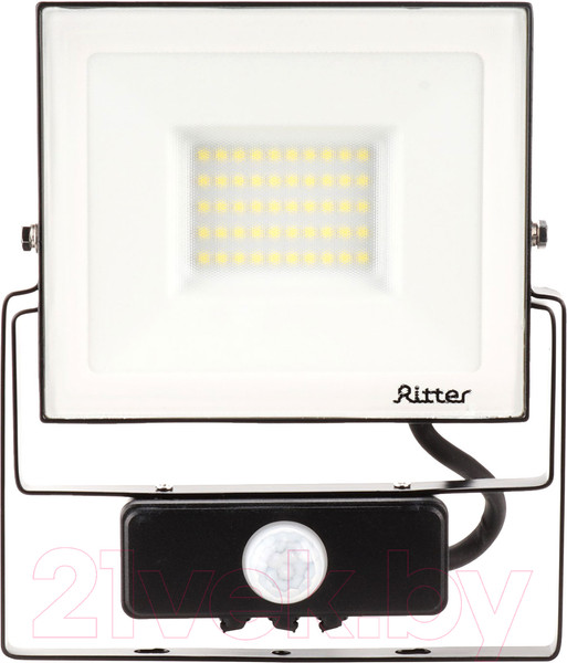 Изображение товара Прожектор REV Ritter Profi / 53421 5 (черный)